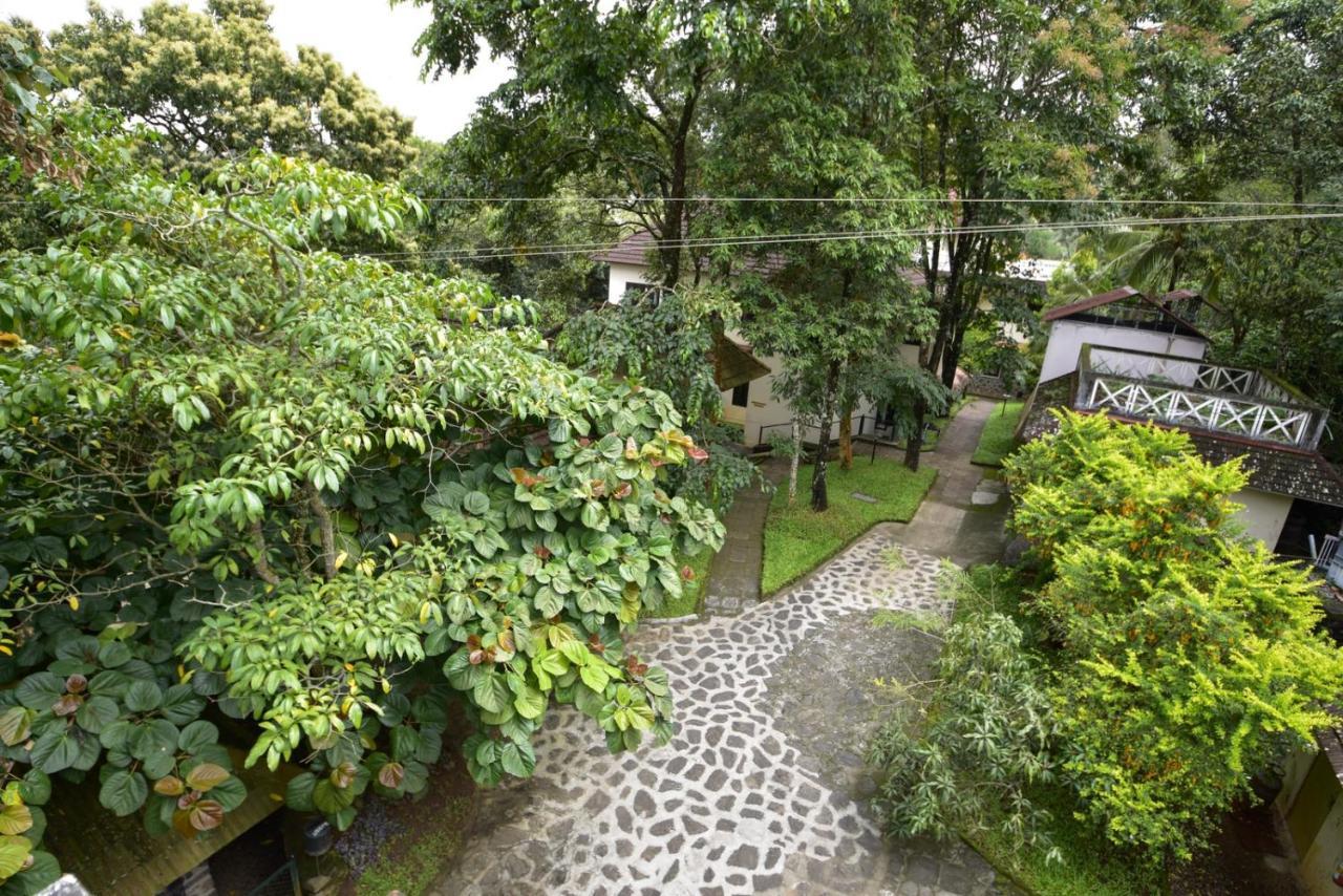 Hotel Treetop Thekkady Eksteriør bilde