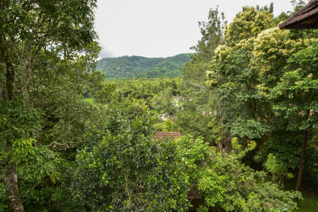 Hotel Treetop Thekkady Eksteriør bilde